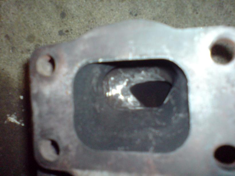 DSC00016a.JPG