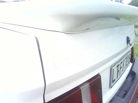 DSC00295b.JPG