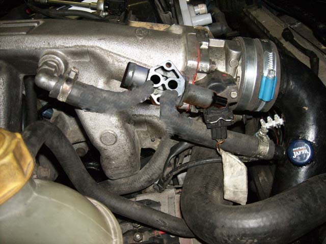 SPA52035.jpg