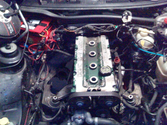 20070224115.jpg