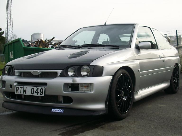 DSCI0040cossie.JPG