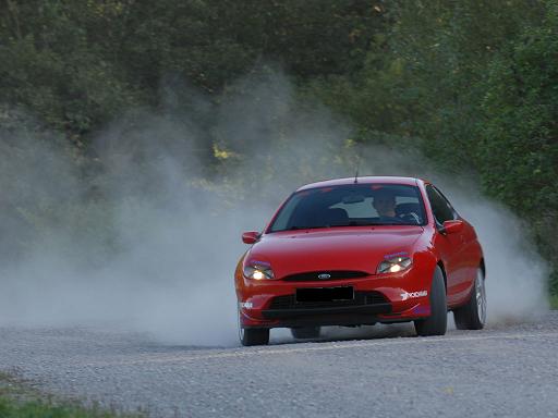 Sized Rallypuma.JPG