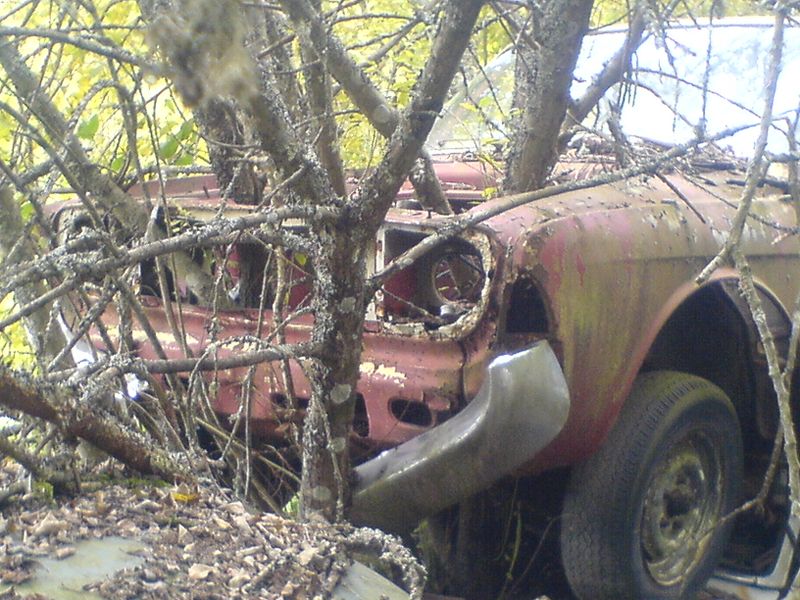 2000990383609626714_rs.jpg