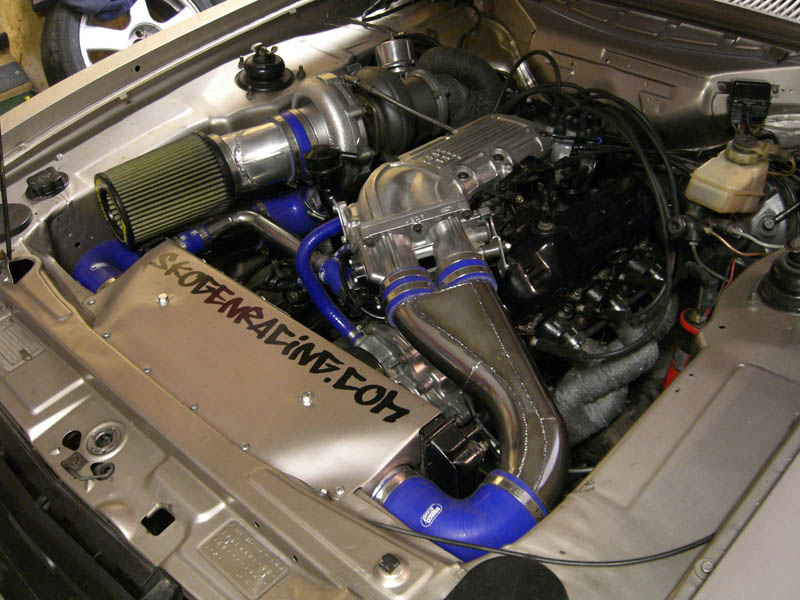 CIMG7790.JPG