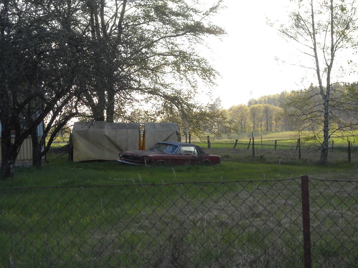 DSCN0128.jpg