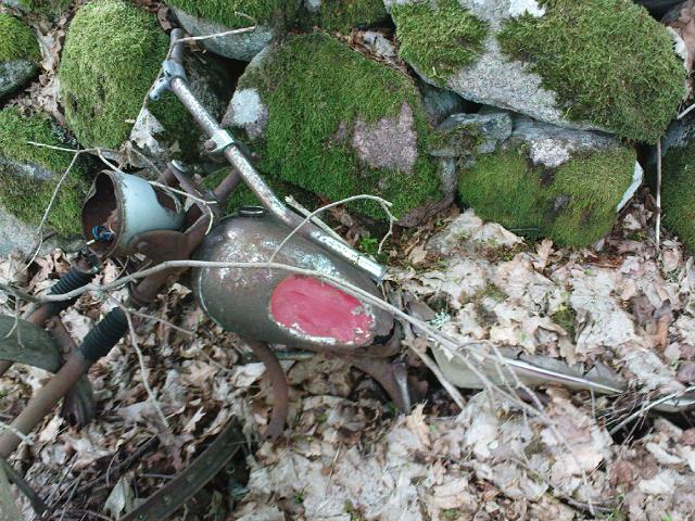 DSC00216.JPG