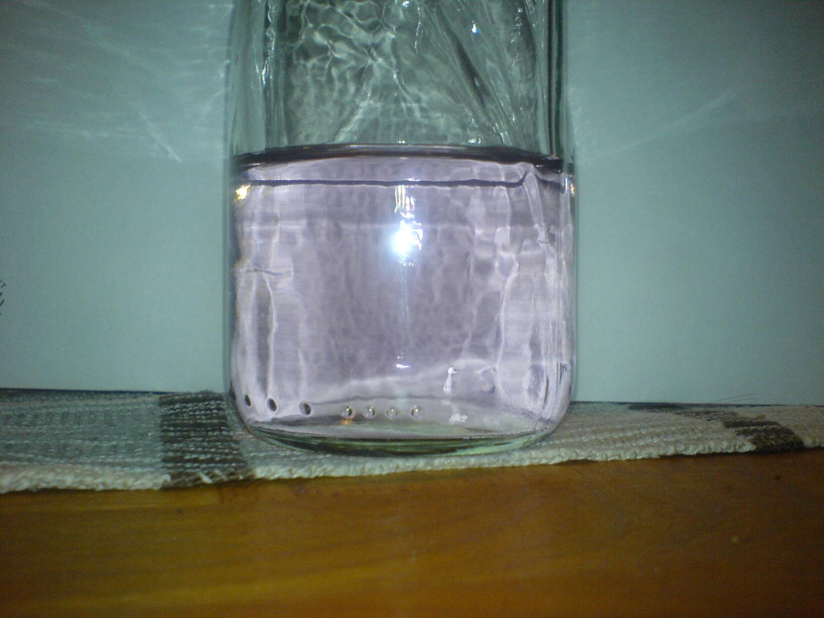 DSC01002.jpg