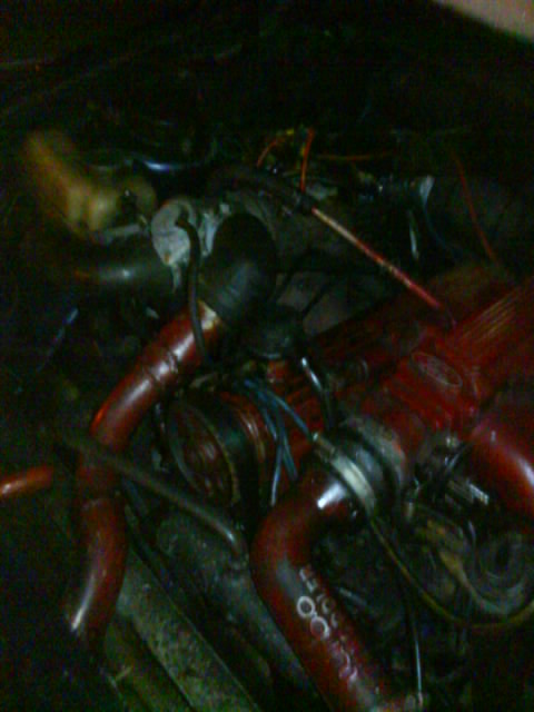DSC00088.JPG