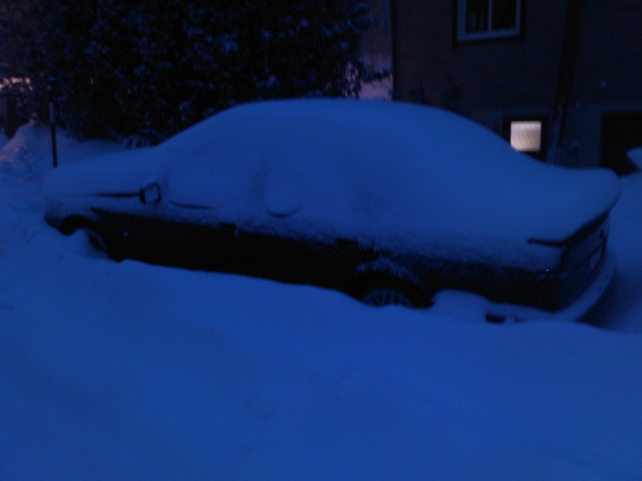 DSC_0626.jpg