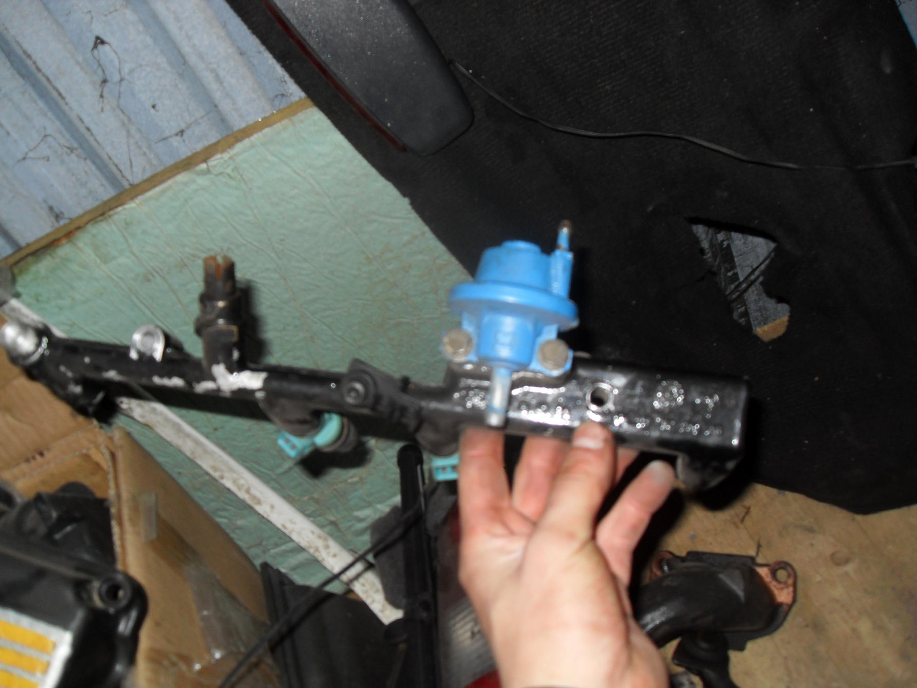 SDC12311.jpg