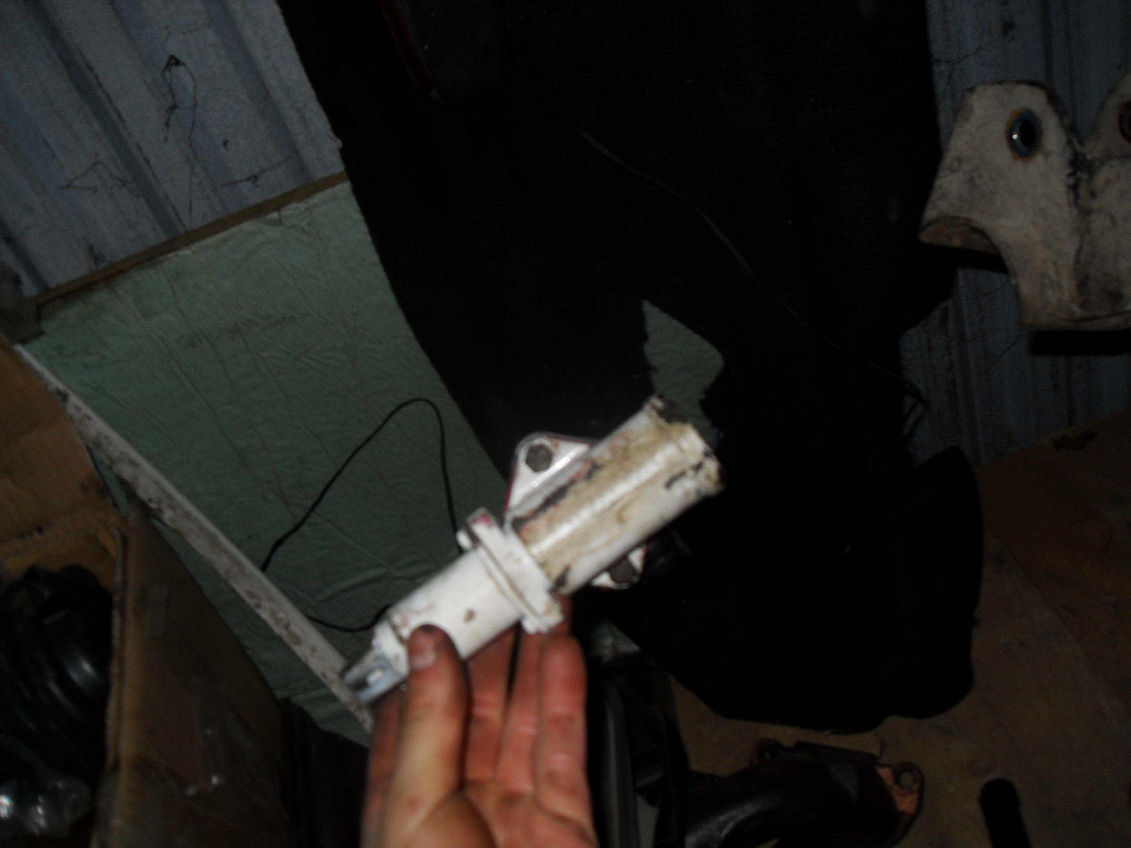 SDC12313.jpg