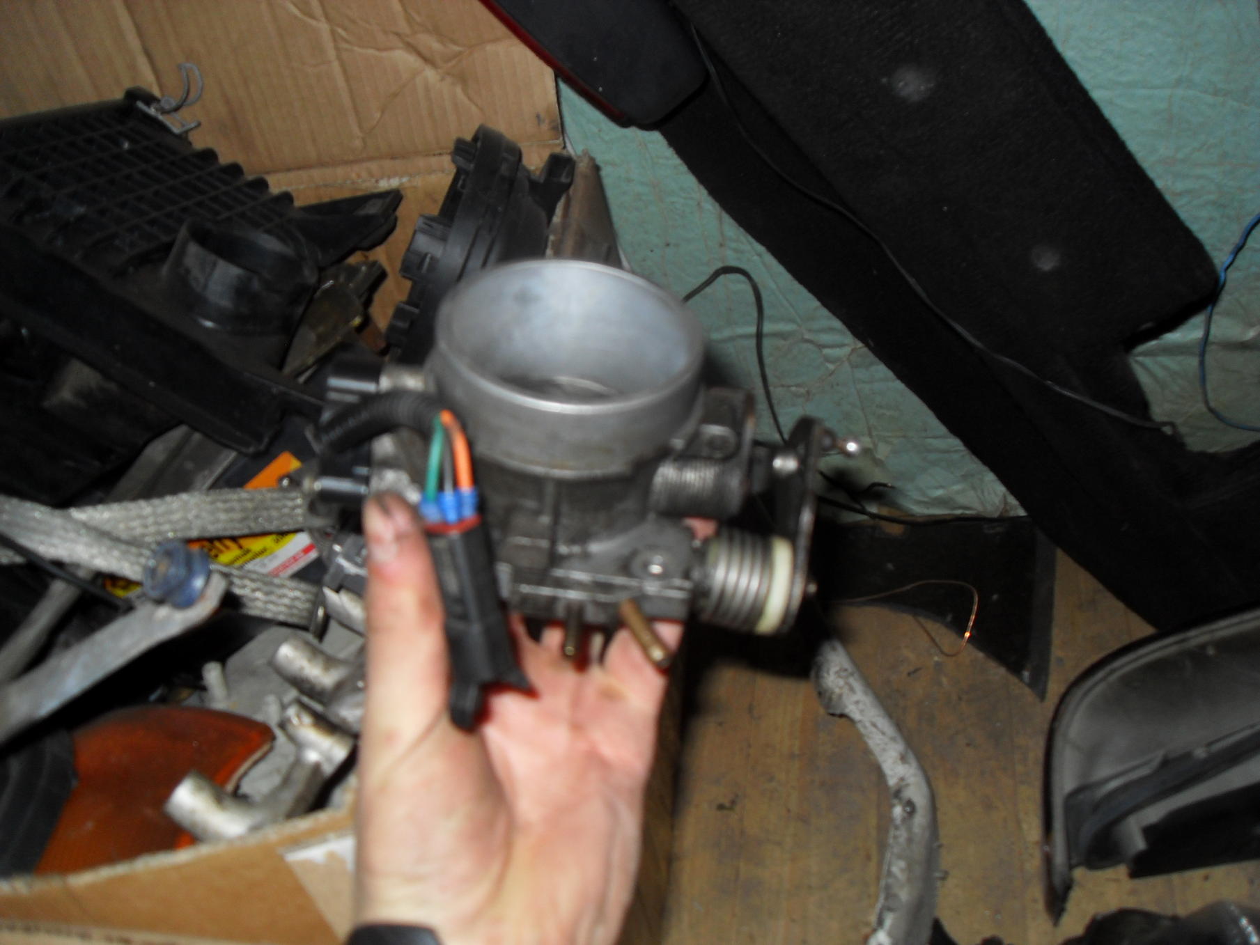 SDC12318.jpg