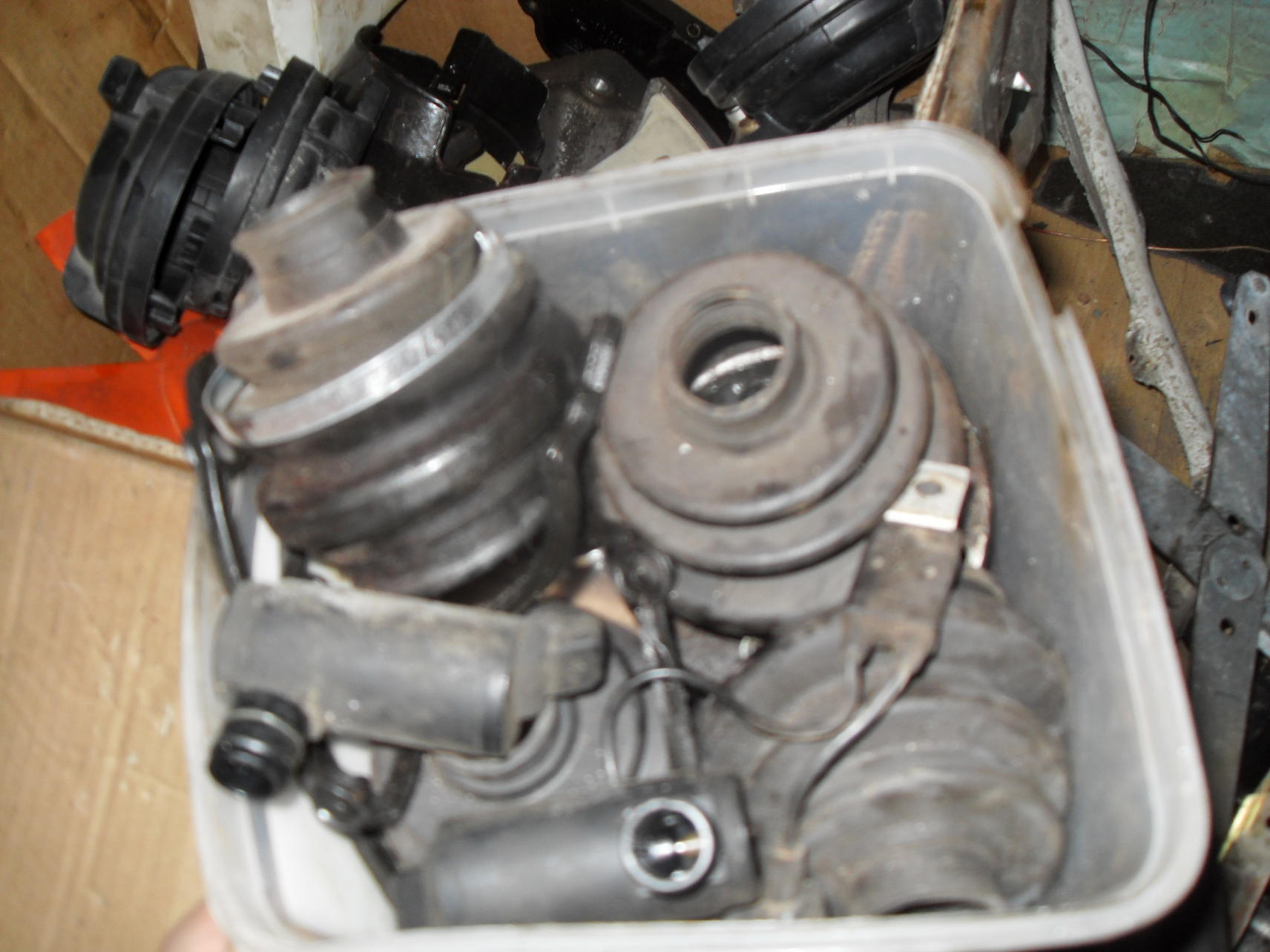 SDC12321.jpg