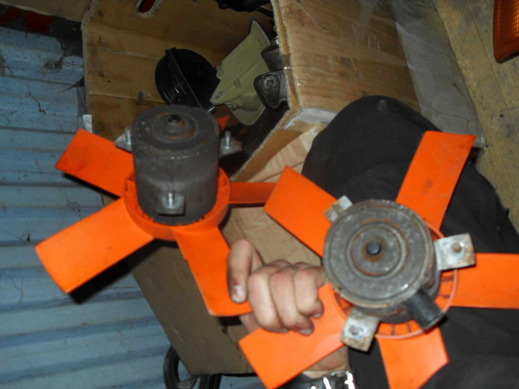 SDC12325.jpg
