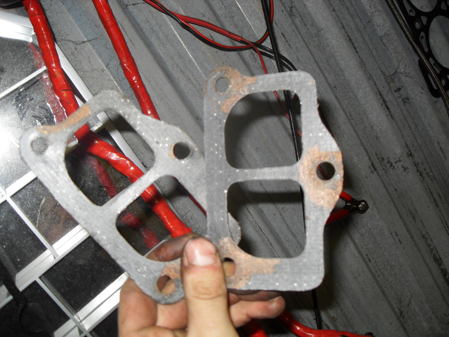 SDC12337.jpg