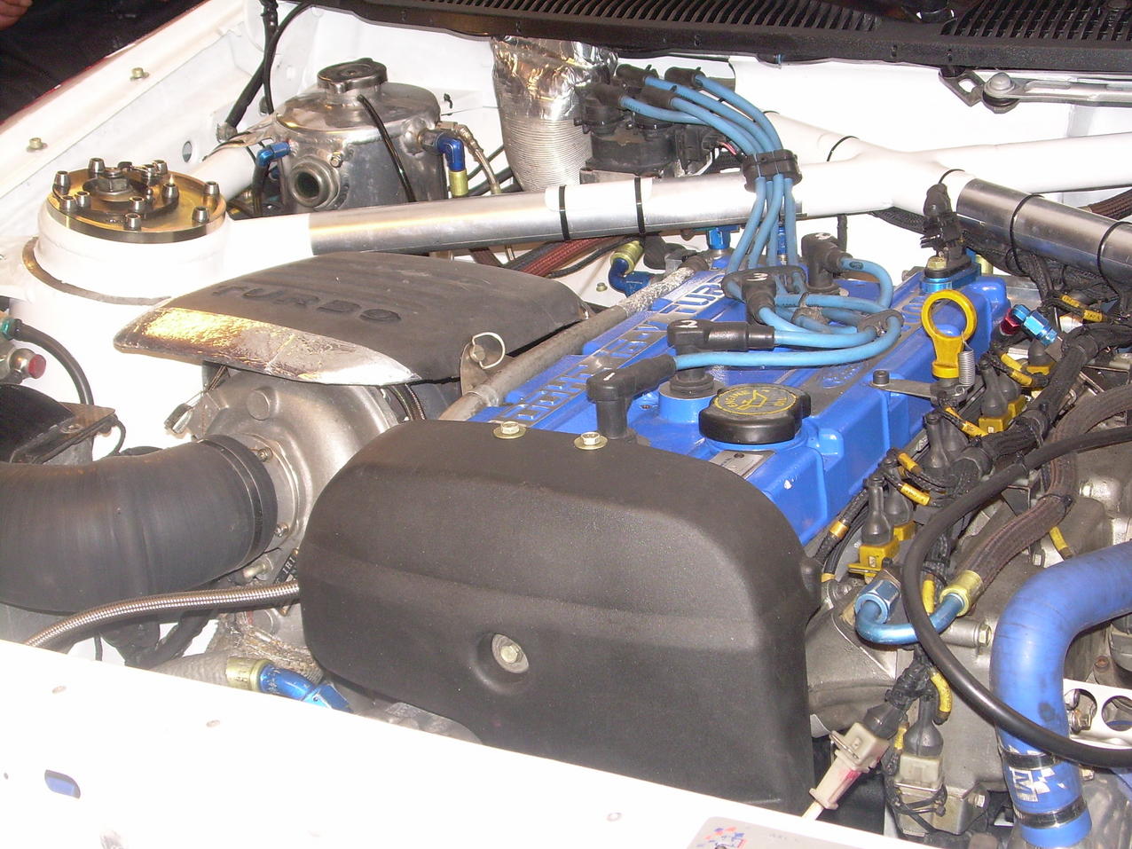 DSCN1201.jpg
