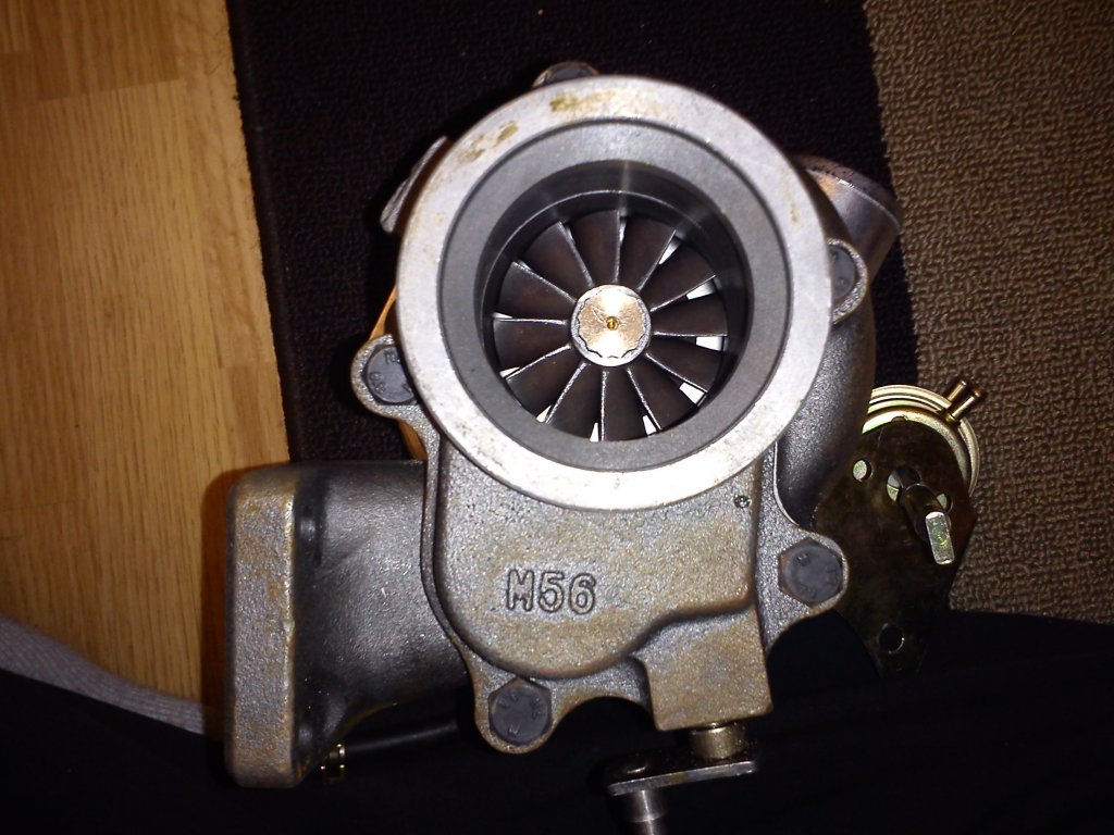 DSC00011.jpg