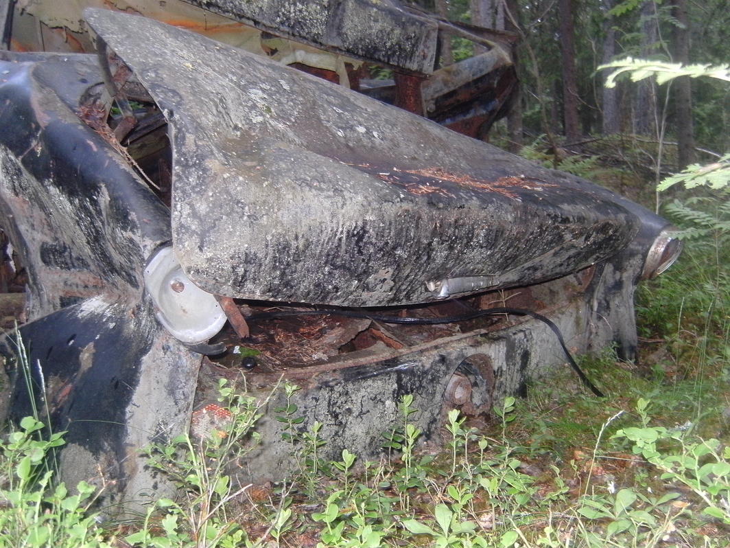 SANY7801.jpg