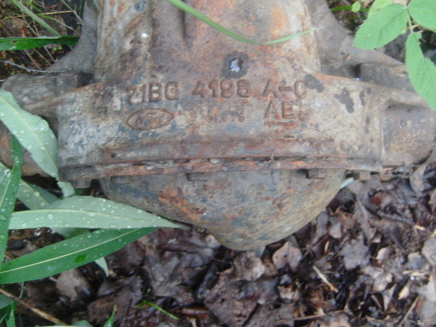 SANY7815.jpg