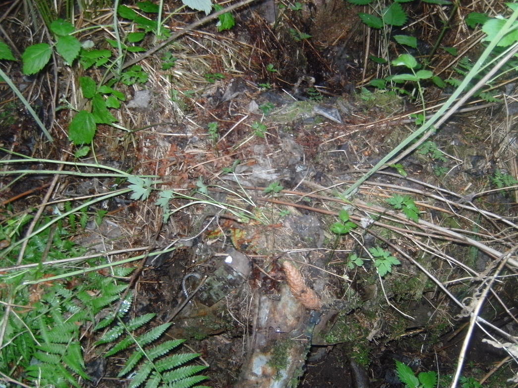 SANY7806.jpg