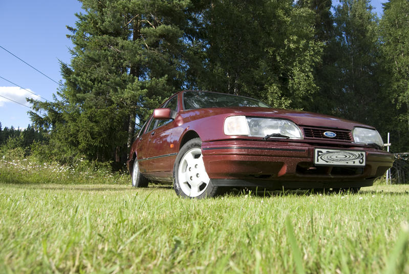 DSC_8295.jpg