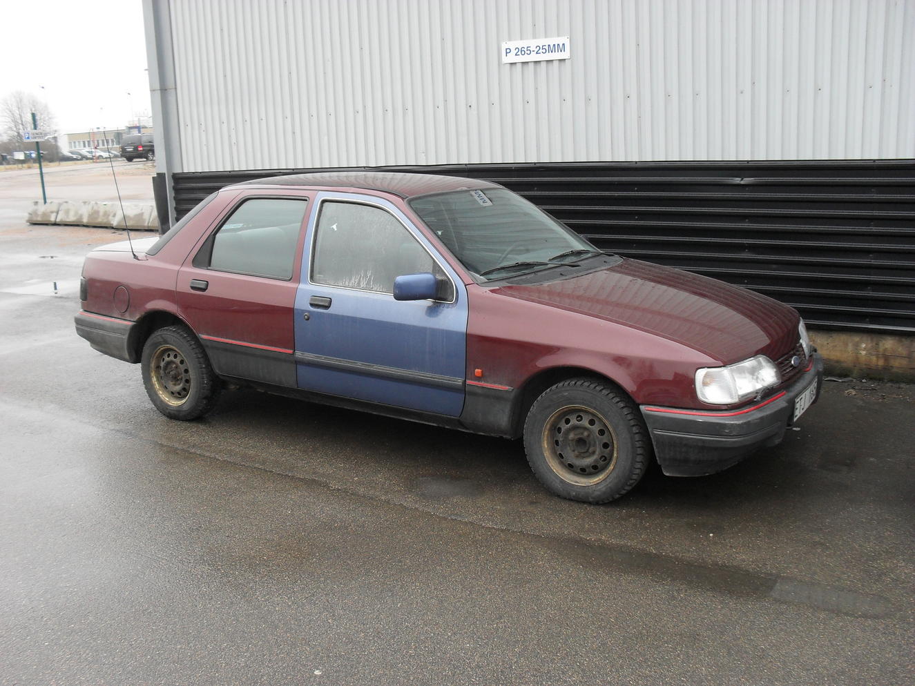 SDC10828.jpg