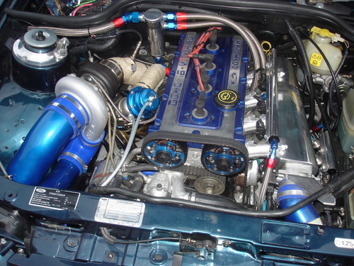 DSC00272.sized.jpg