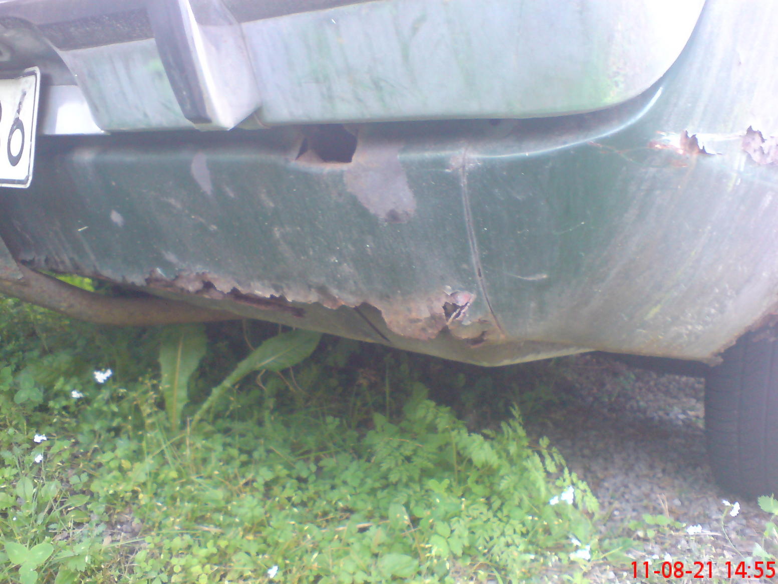 DSC01401.jpg