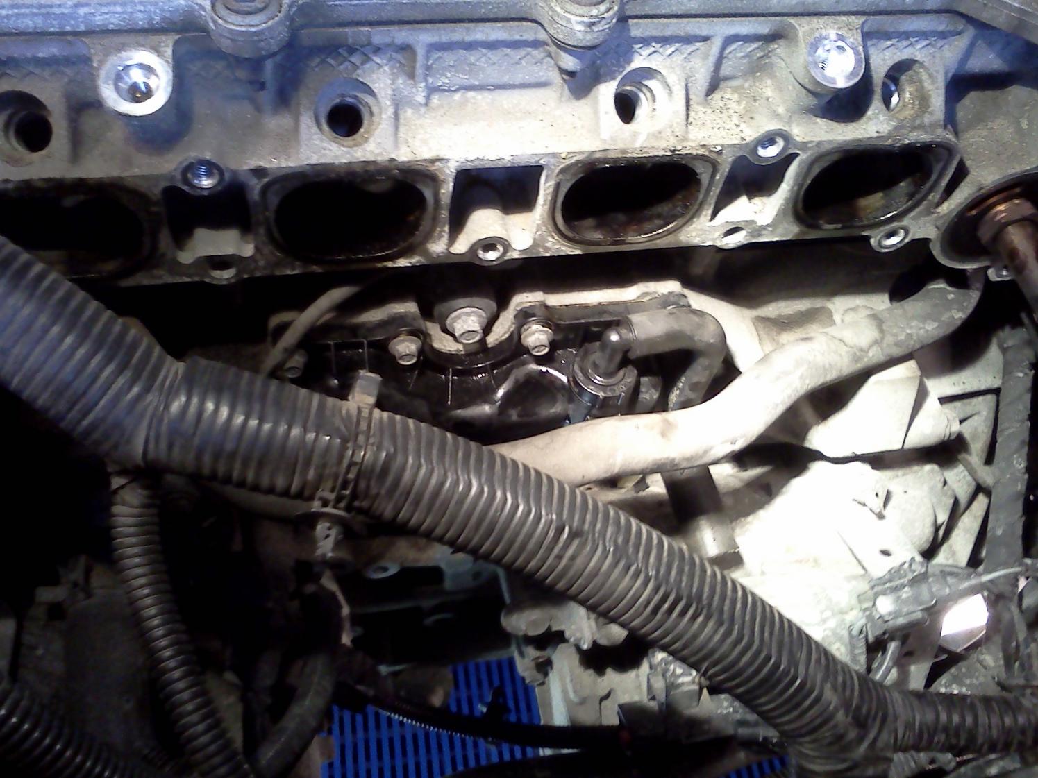IMG20120401_003.jpg