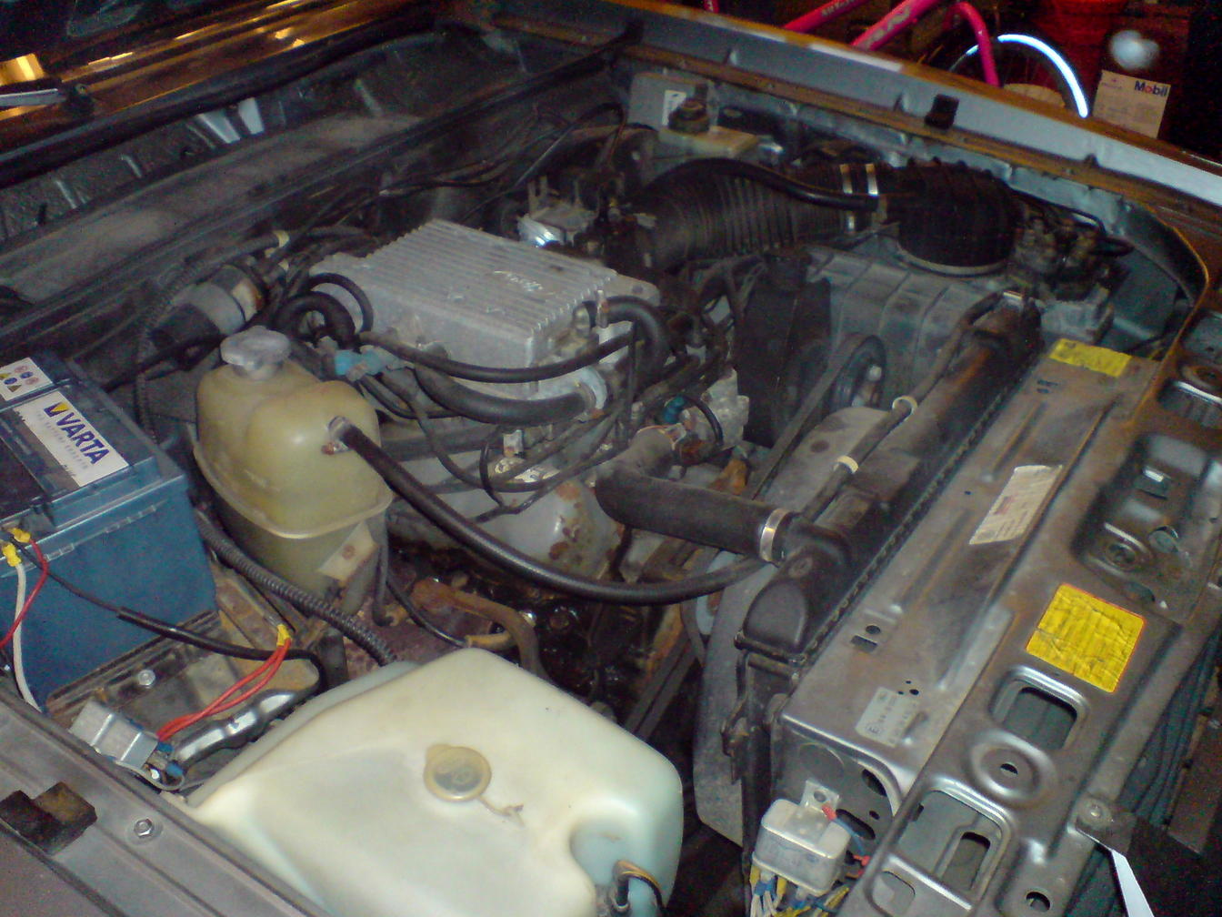 DSC00845.jpg