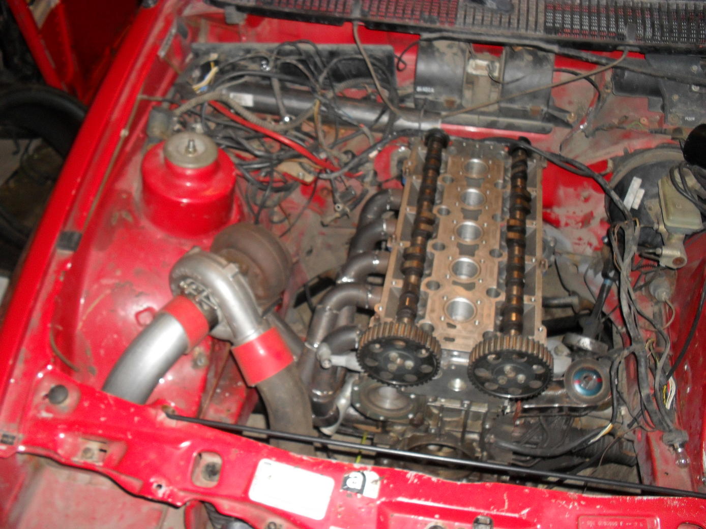SDC11129.jpg