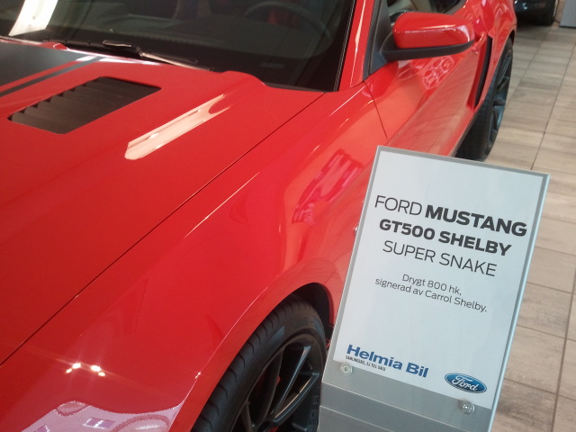 Supersnake_1.jpg
