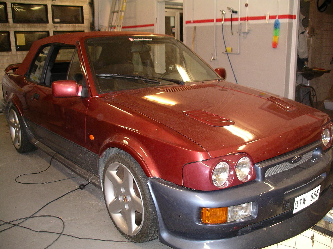 IMGP3295.jpg