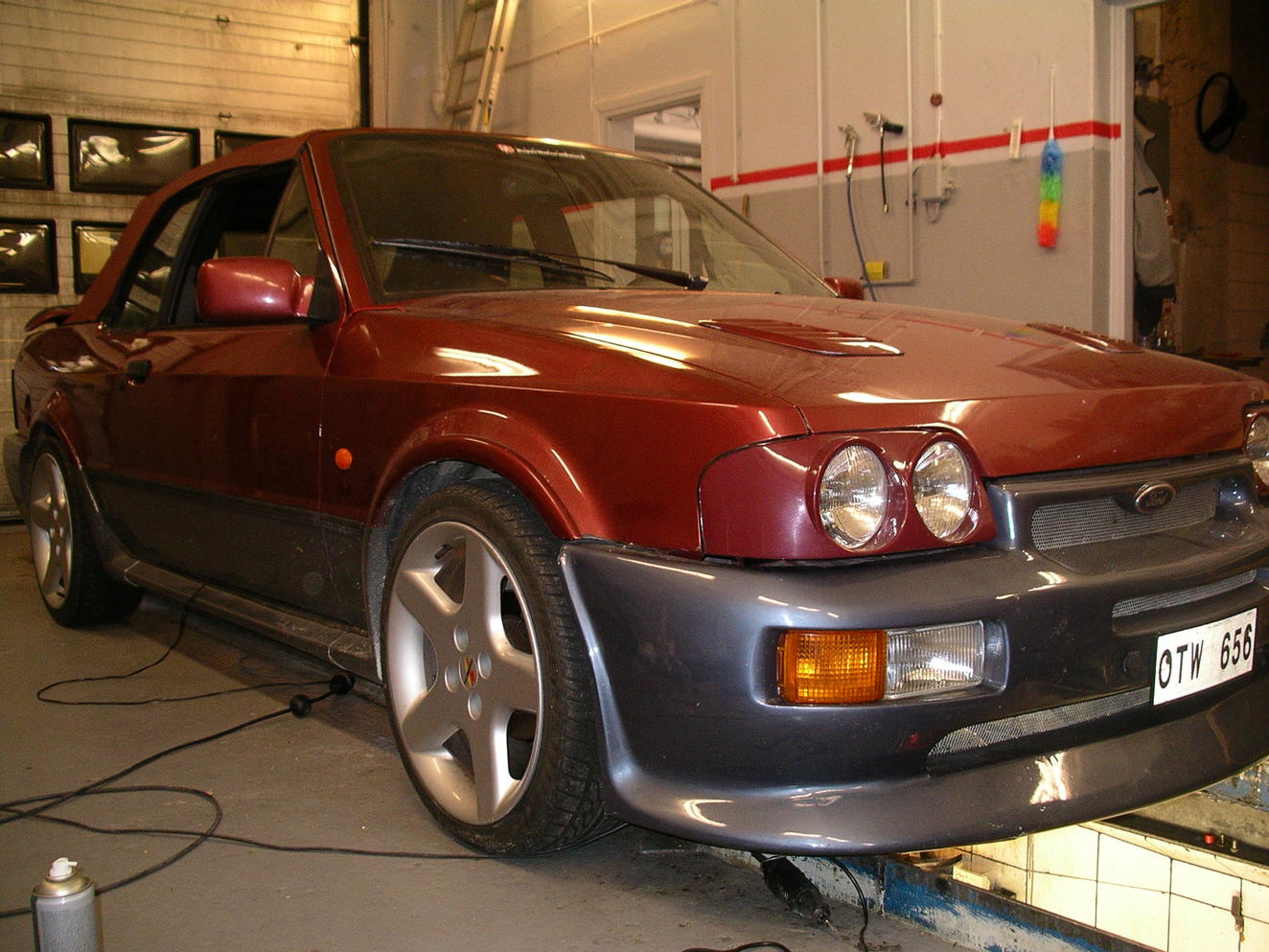 IMGP3296.jpg