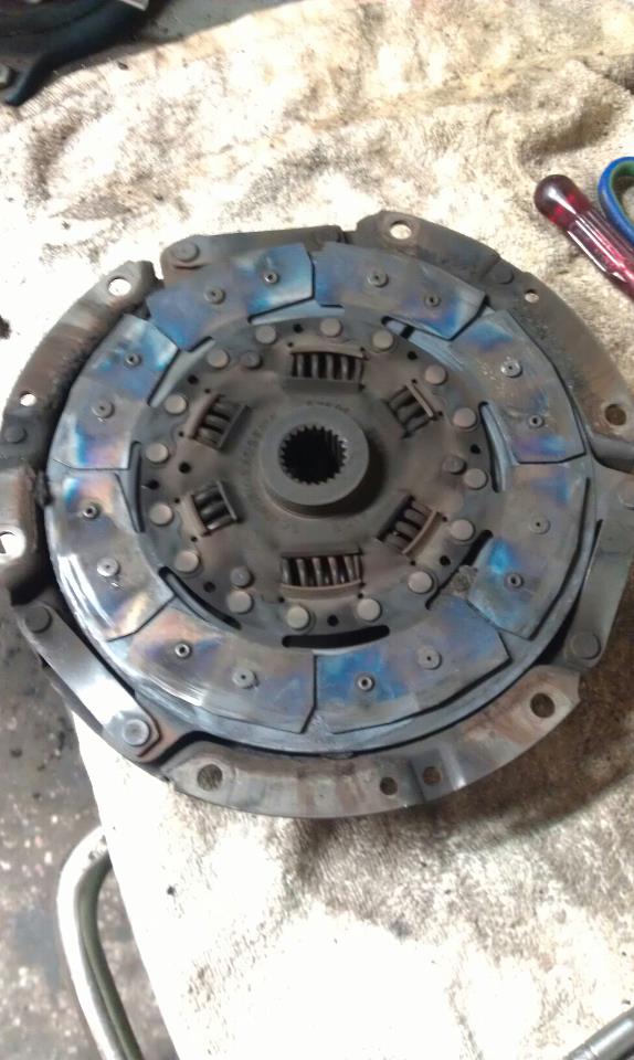 21690_558608437498344_254790345_n.jpg