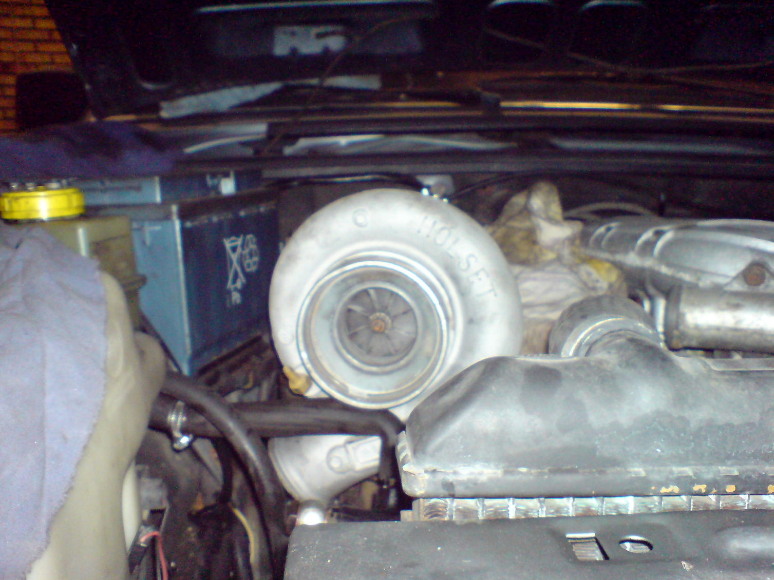DSC02667.jpg