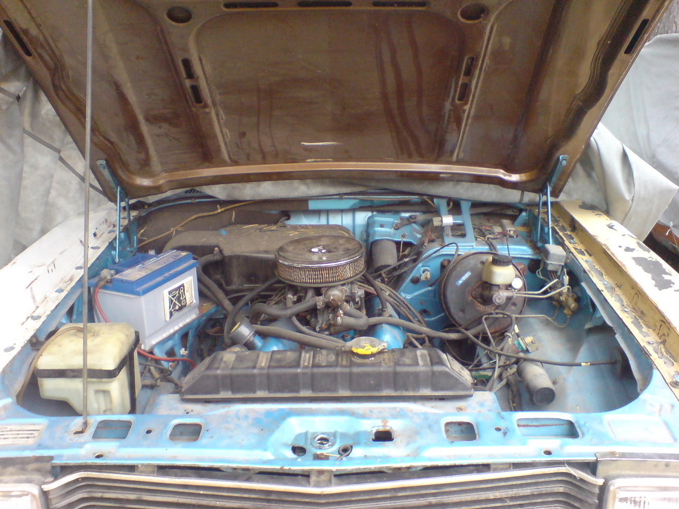 DSC02978.jpg