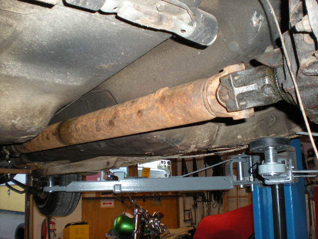011.JPG