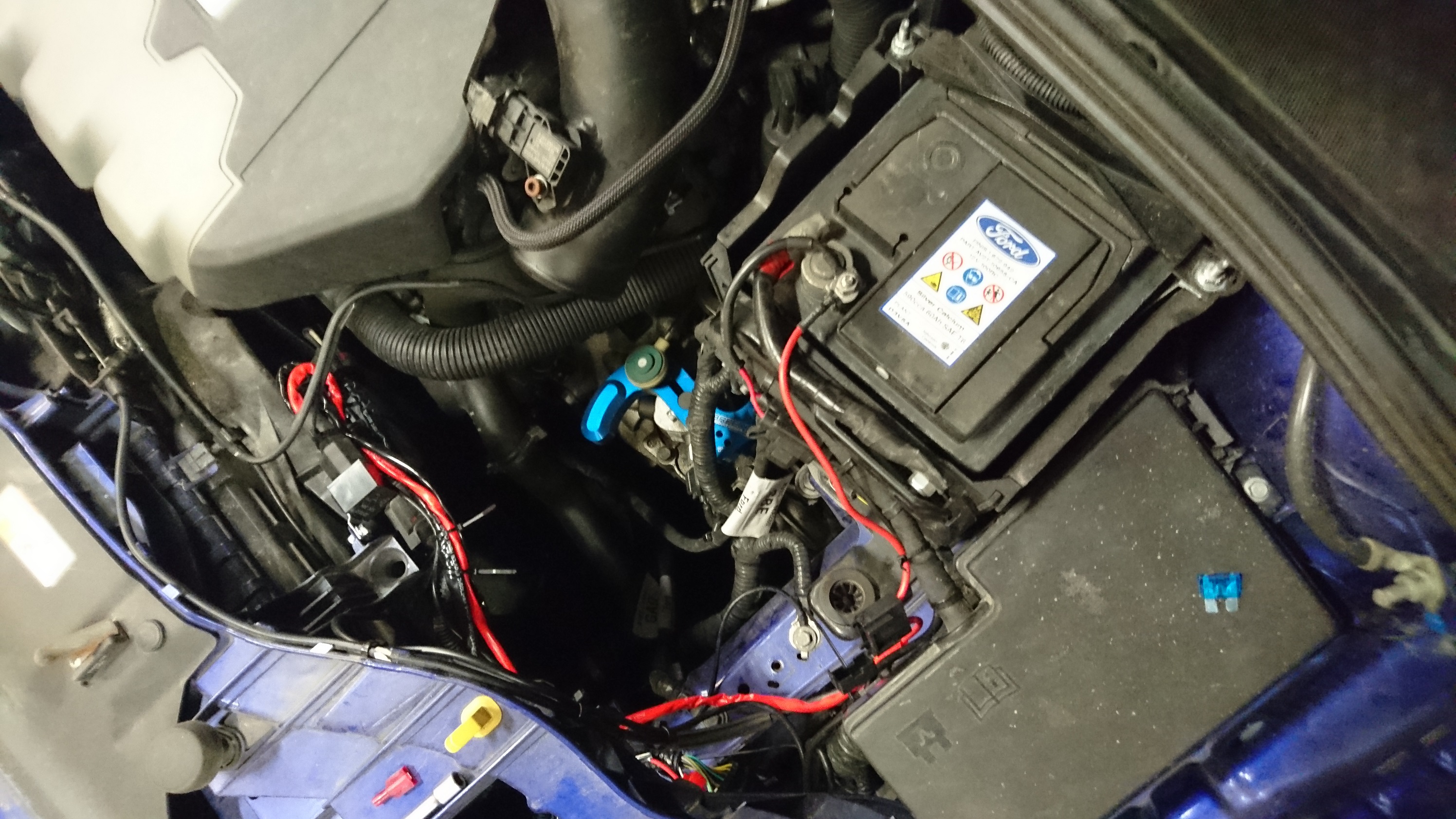 DSC_9560.JPG