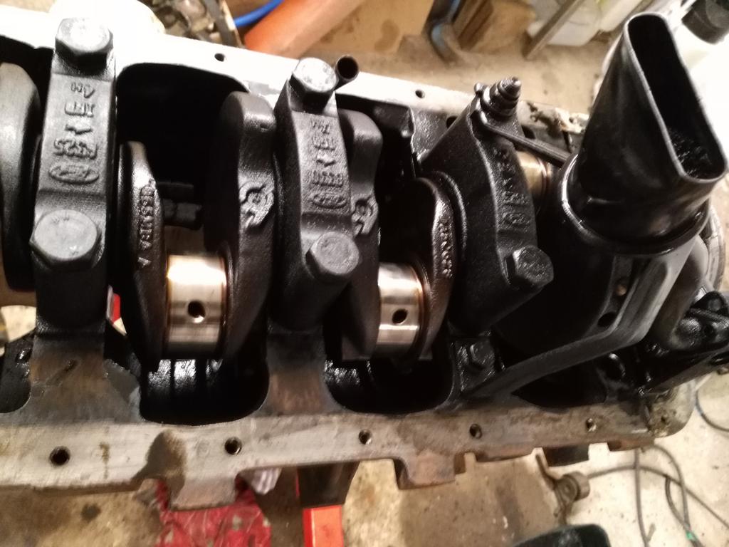 IMG_20170223_212449.jpg