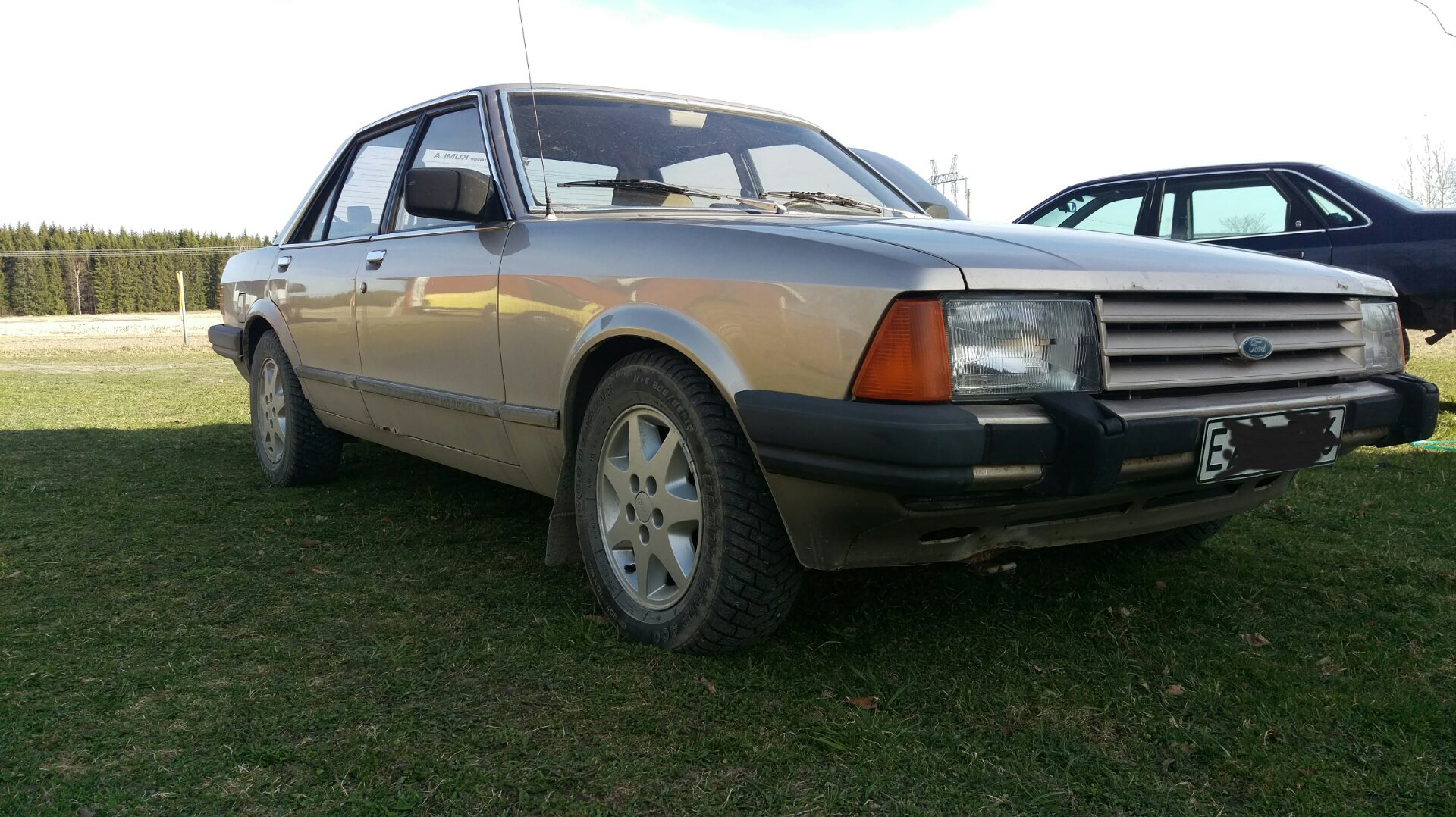 IMAG0351_1.jpg
