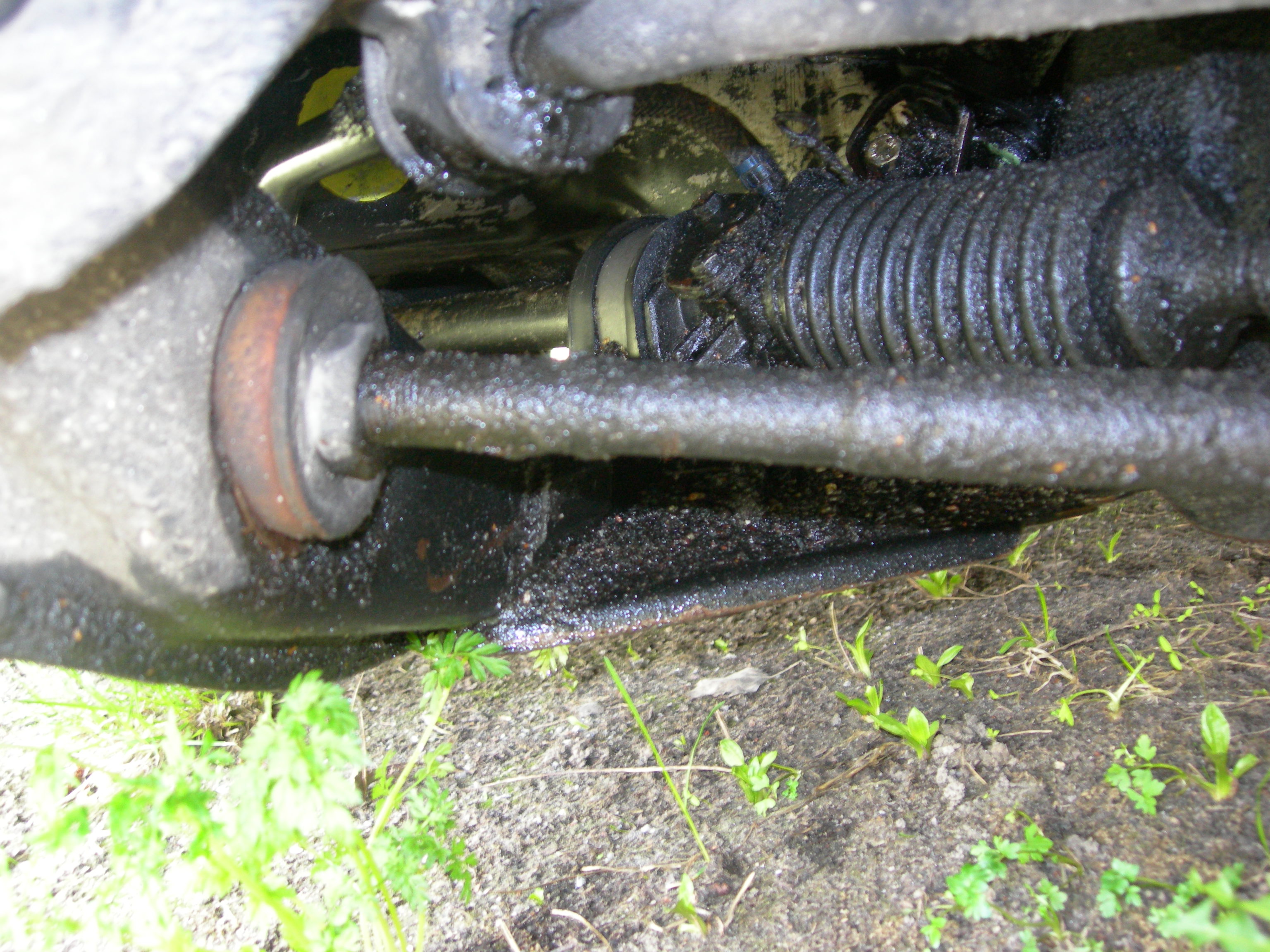 DSCN3921.JPG