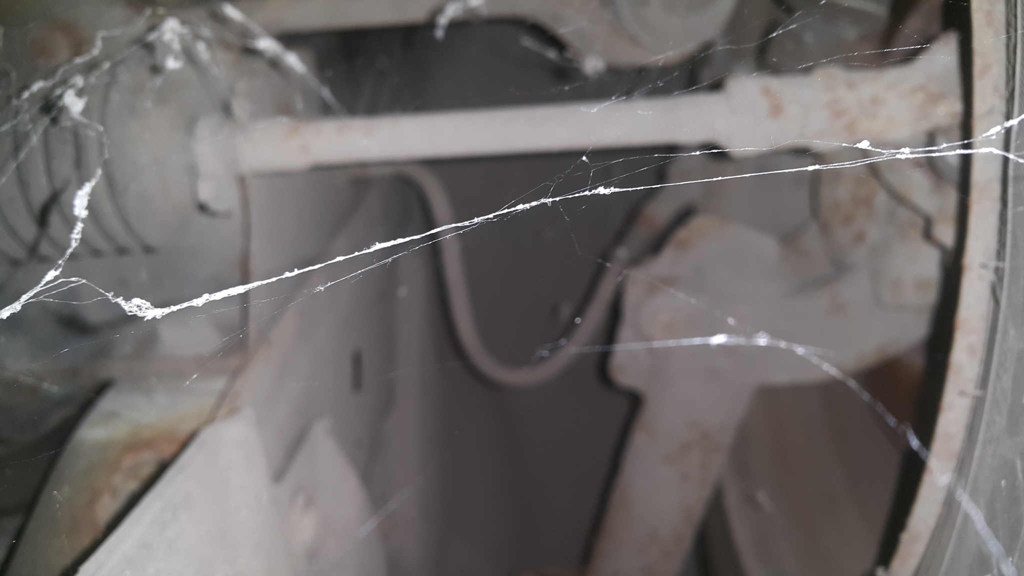 20171202_180816.jpg