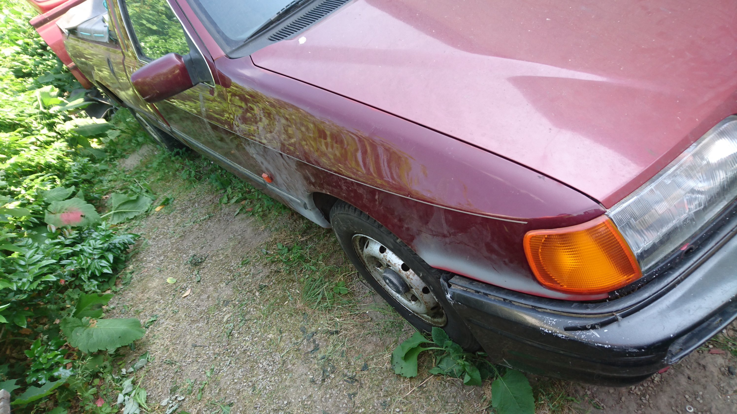Dsc_2746.jpg