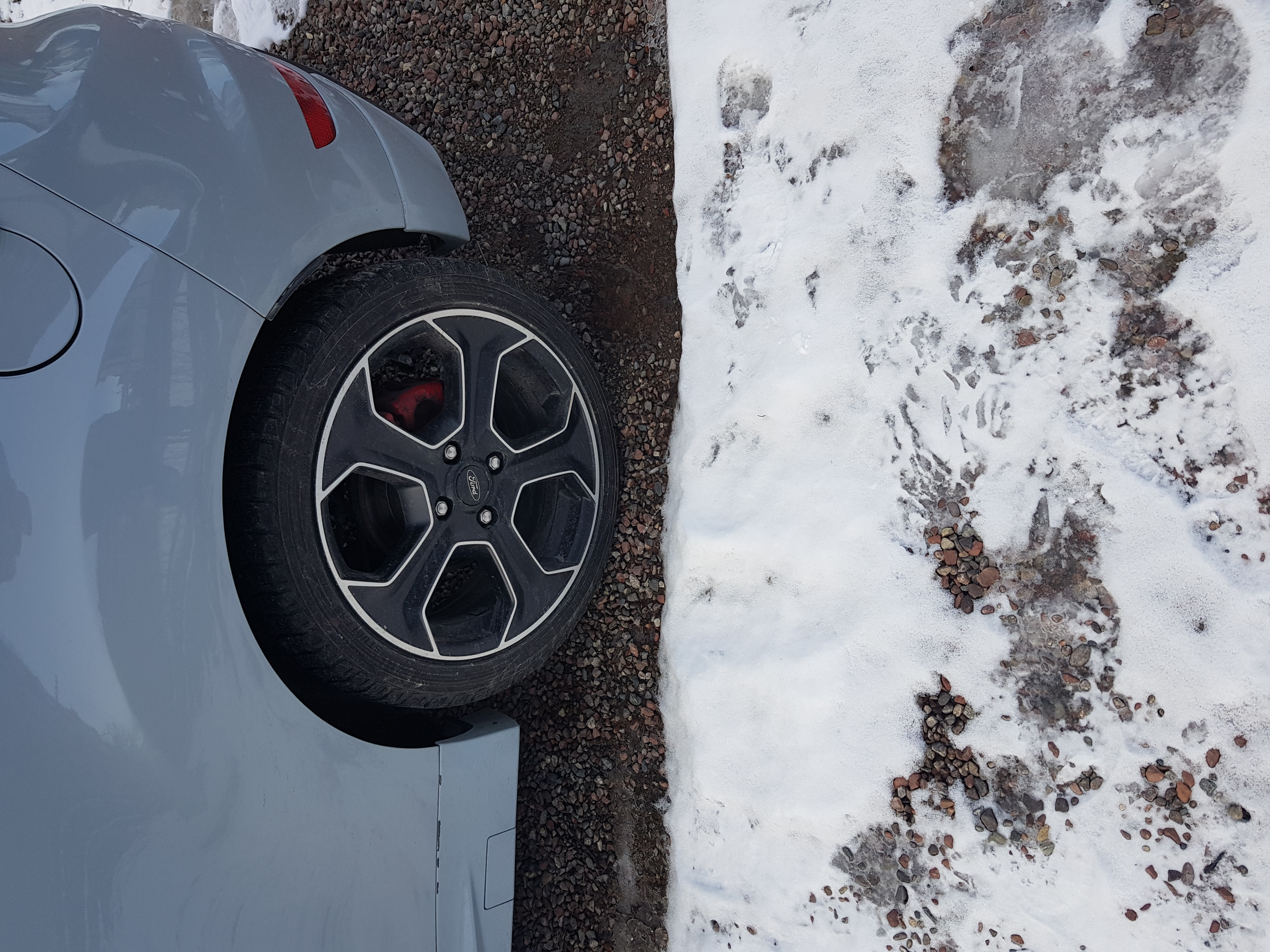 20190312_135755.jpg