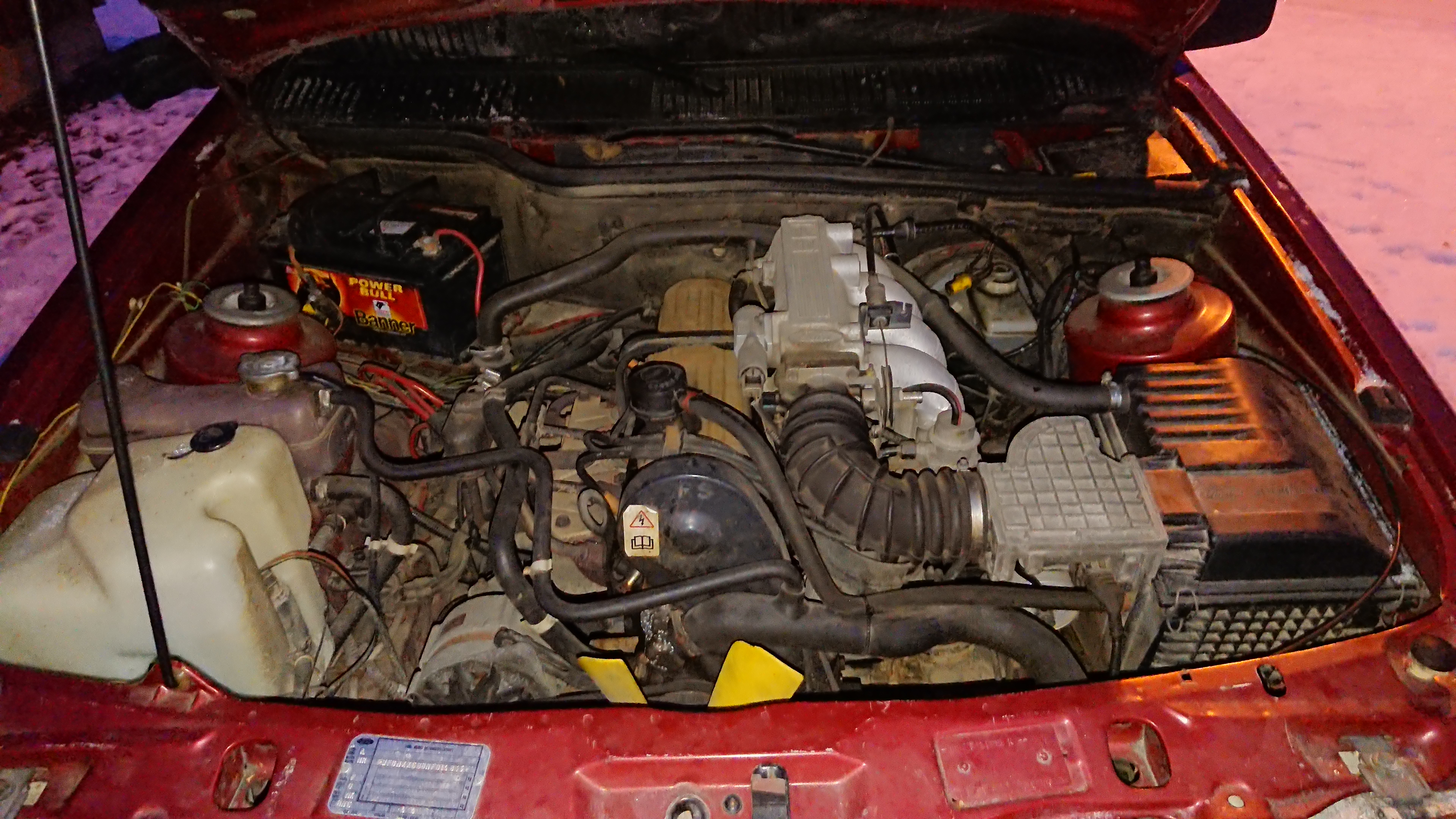 DSC_3937.JPG