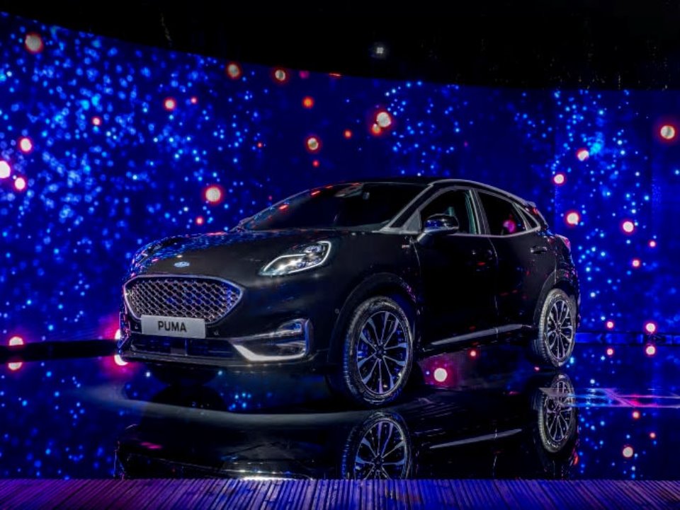 pumavignale.jpg