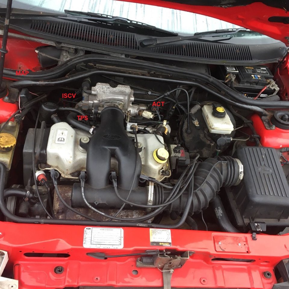 engine bay.jpg