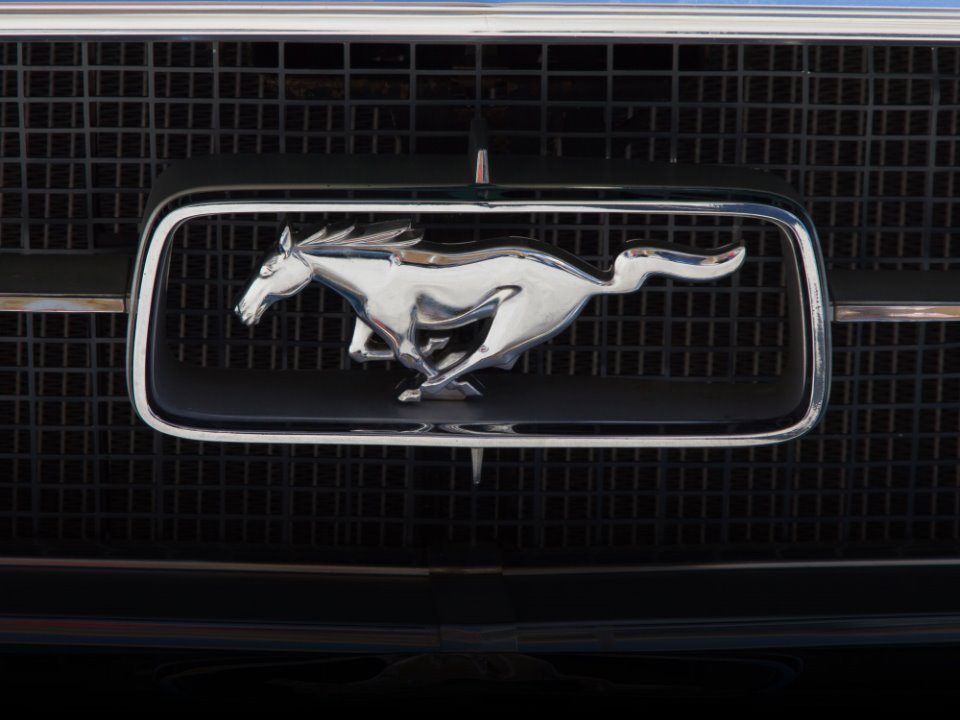 mustang_emblem.jpg