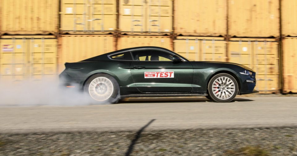 next_mustang.jpg